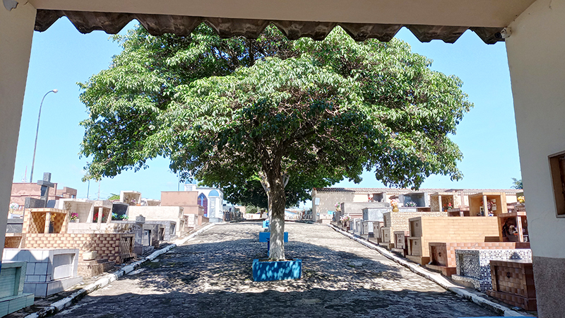 Leia mais sobre o artigo Funerária Saltense prepara cemitérios para o final de semana do Dia dos Pais