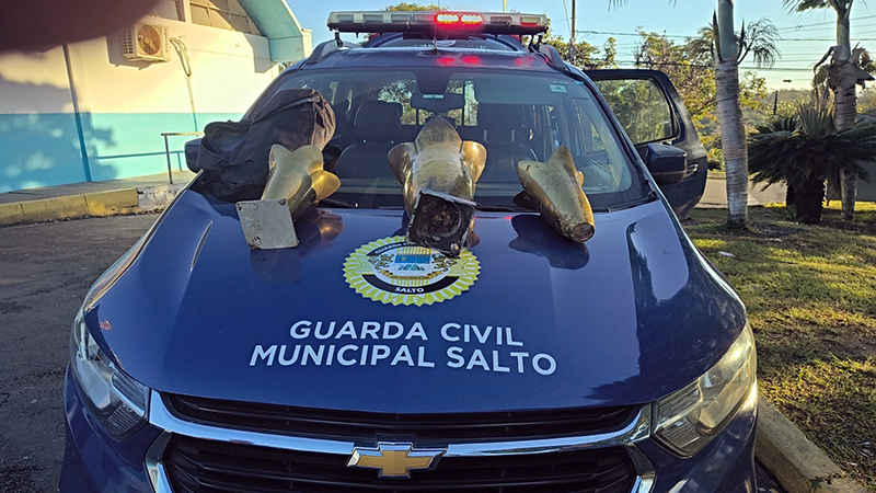 Monitoramento interno e ação rápida da GCM prendem 4 autores de furtos no Cemitério em Salto